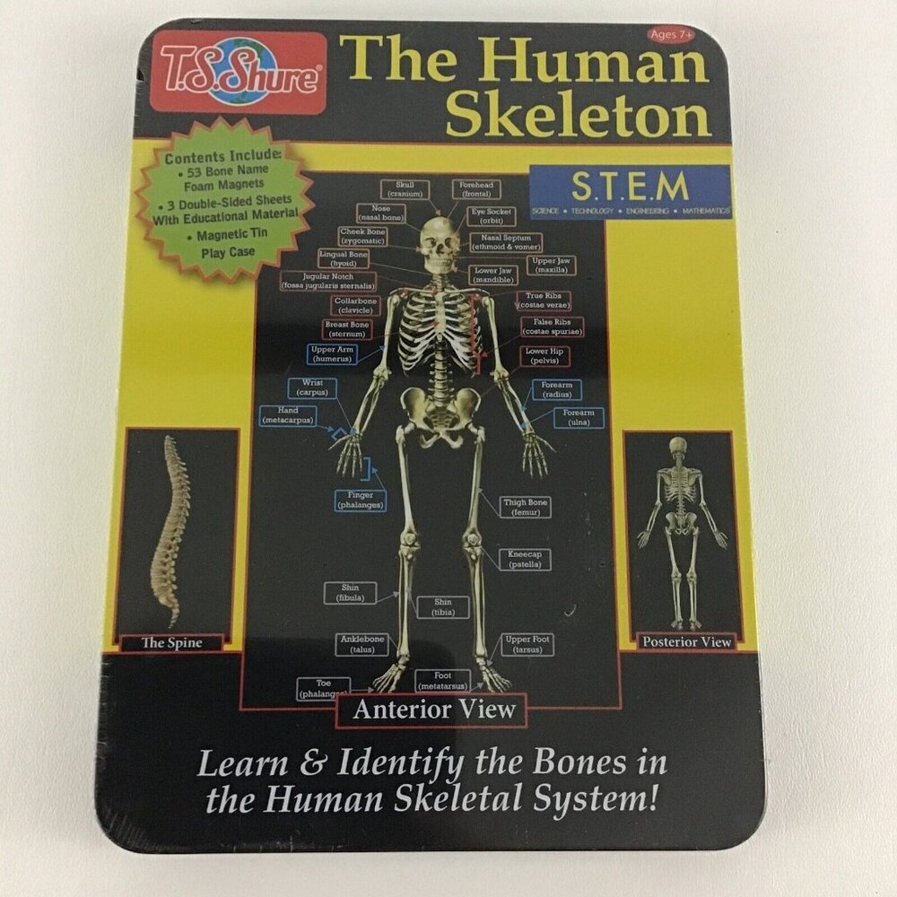 T.S. Shure Magnetic Learning Activity The Human Skeleton Tin Play Case Bone Name